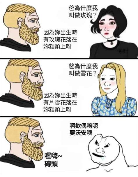 磚頭 梗圖|搜尋：梗圖 